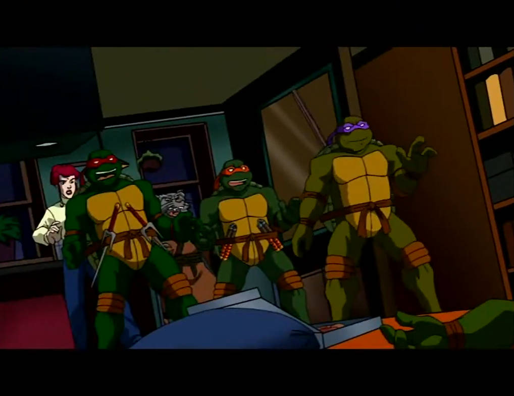 TMNT 2003 April, Raph, Splinter, Mikey and Donnie by hedwieapotter on ...