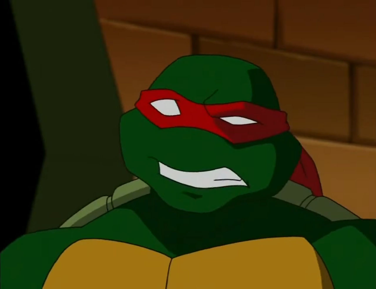 Captain Raph TMNT 2003 Raph 2 by hedwieapotter on DeviantArt