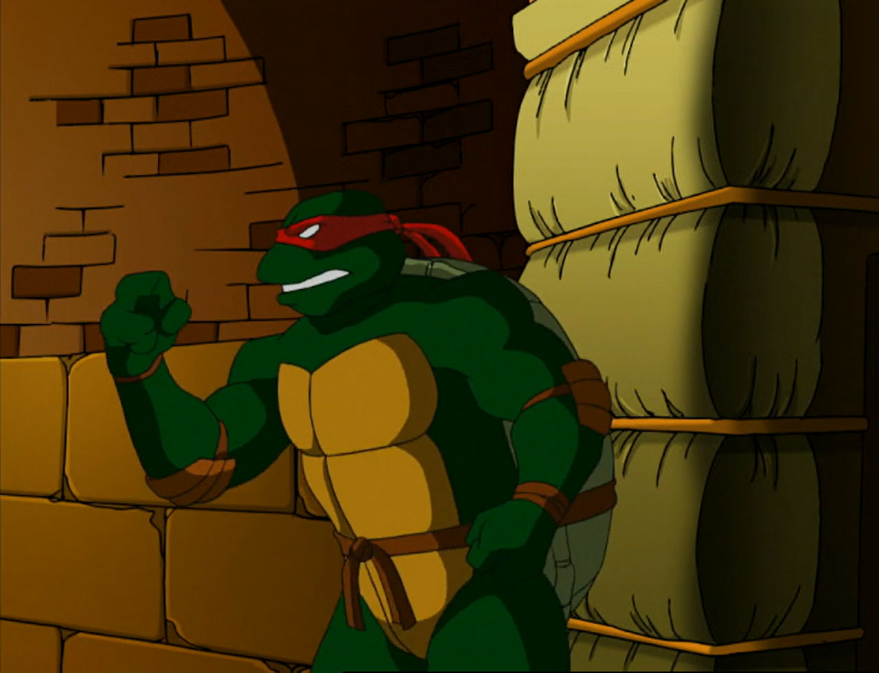 Tmnt 2003 Raph TMNT 2003 Raph by hedwieapotter on DeviantArt