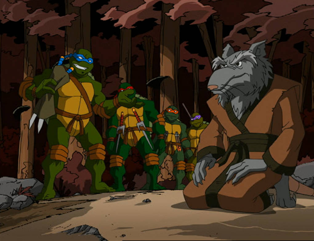 Tmnt Splinter Sad TMNT 2003 The turtles and Splinter by hedwieapotter on DeviantArt