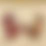 Cona: Ghost