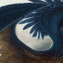 Eragon - cover art