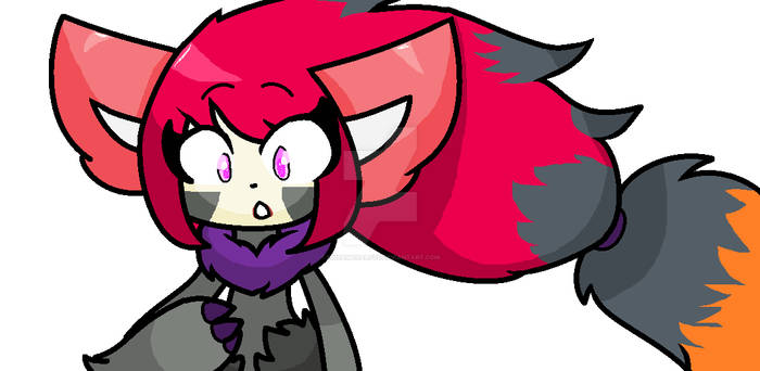 Jasmine Kitty as a Zoroark