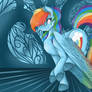 ~ Rainbow Dash~