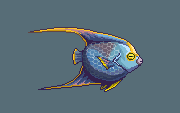 Queen Angel Fish by Z-studios on DeviantArt Queen Angel Fish by Z-studios on DeviantArt
