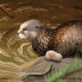 Otter study
