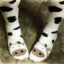 My New Socks :D