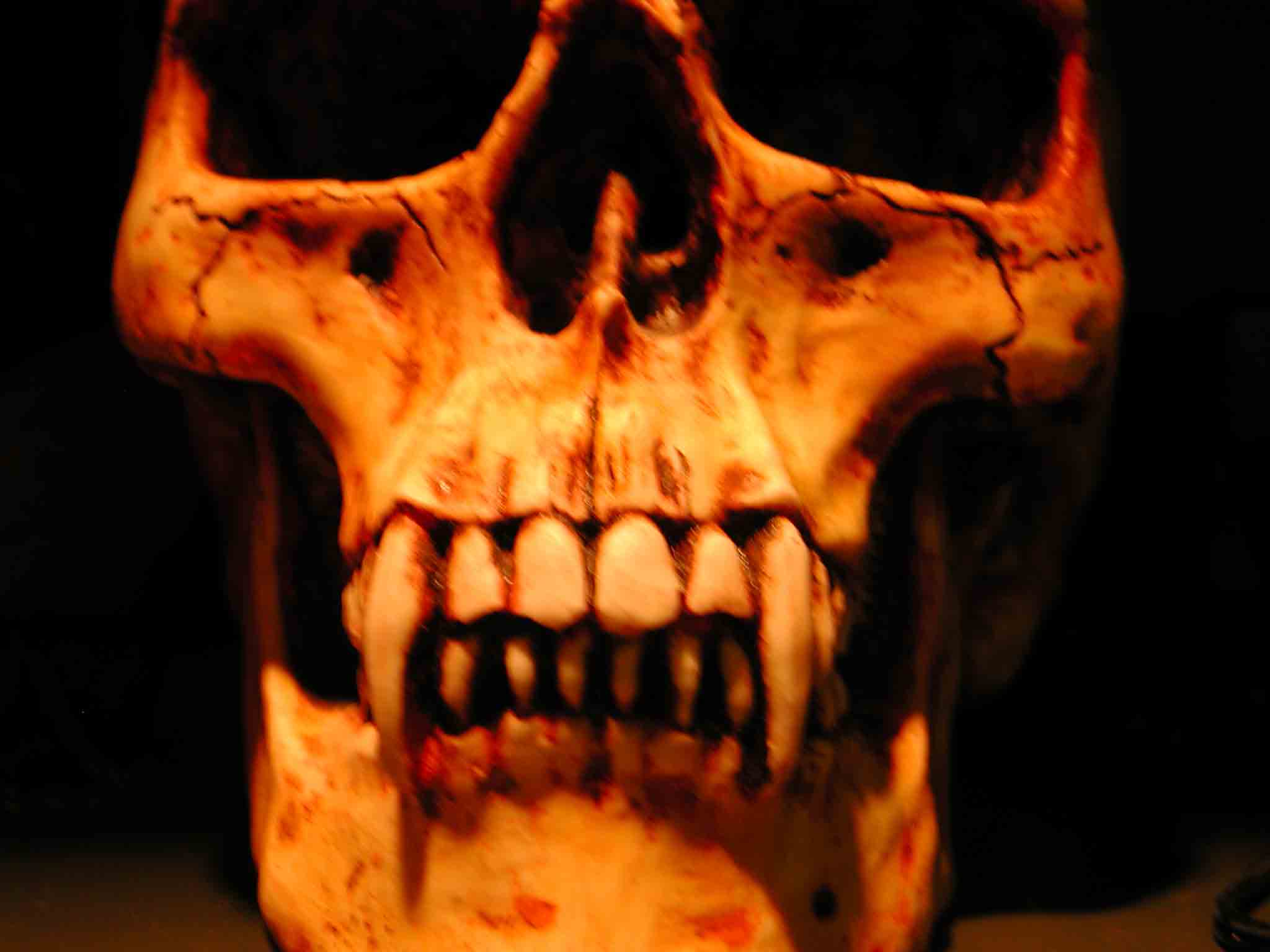 Vampire skull