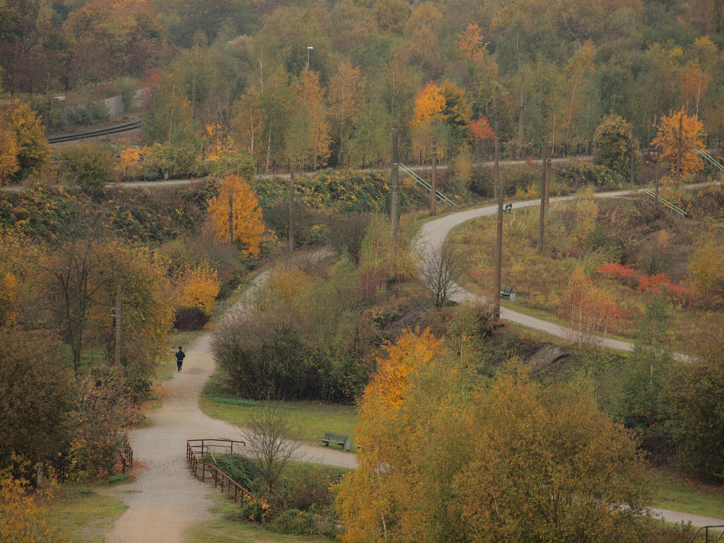 Duisburg Landscape 01