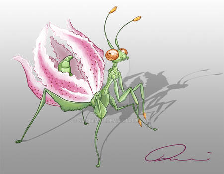 Lily Mantis