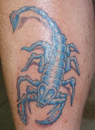 Blue Scorpion Tattoo by autosdafe1138 on DeviantArt Blue Scorpion Tattoo by autosdafe1138 on DeviantArt