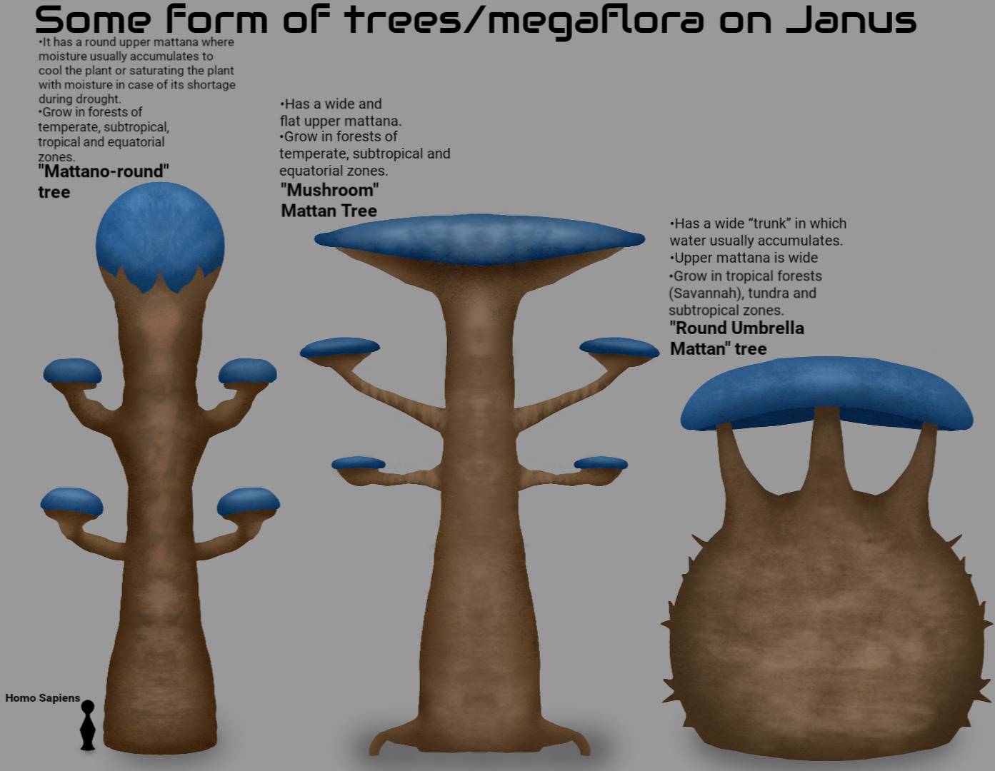 Megaflora Extinct Therojanus- Some forms of trees/megaflora on Janus by ViolteUniverse on ...