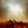 Premade BG 001