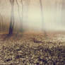 Premade BG 004