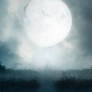 Premade BG 005