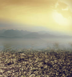 Premade BG 006