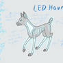 LED Hounds  CLOSED SPECIES