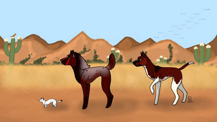 Desert Fun - Shani and Cardinal Exploration