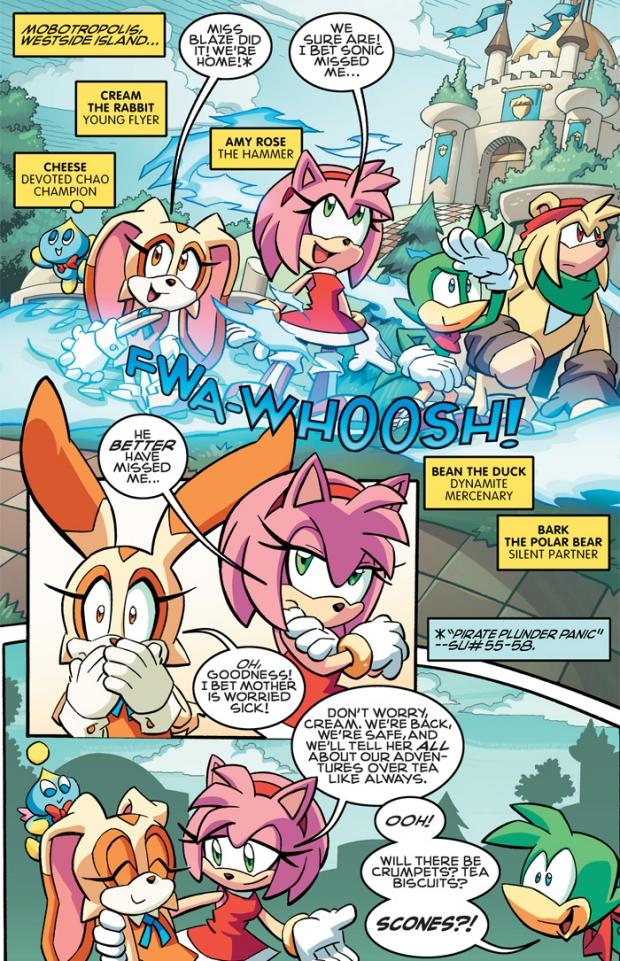 Sonic and Amy on The Duck : Sonic and Amy comic page 11