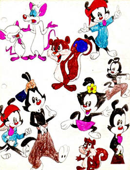 Animaniacs characters etc...