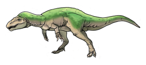 Basal Spinosaur