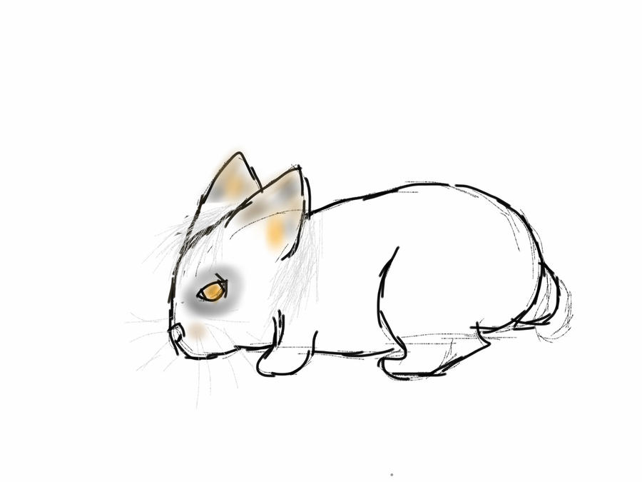 Leo the Lionhead Rabbit by Phantomsylveon on DeviantArt