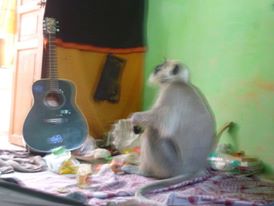 Rishikesh hari peeth ashram...playin guitar