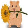 HamsterHolding-a-Sunflower