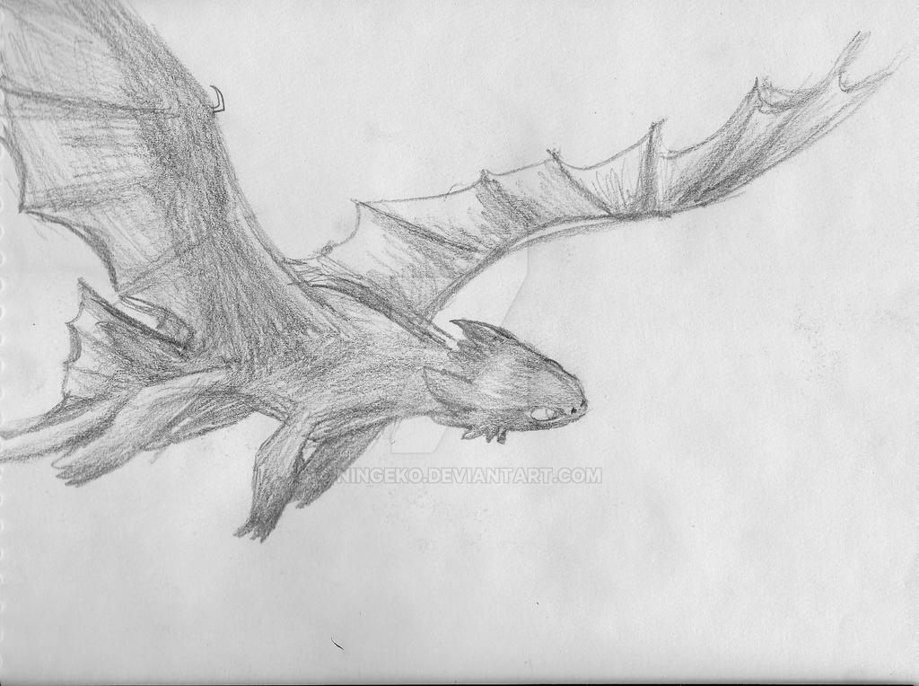 Toothless Large Drawing A sketch of toothless by NinGeko on DeviantArt