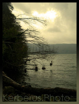 Sepia Lake