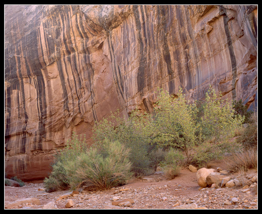 The Grand Wash