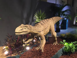 dinosaur show in Taiwan :D