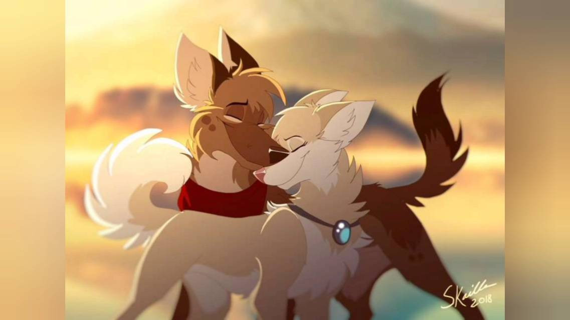 Keep Me Safe and I'll keep you Wild