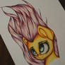 Fluttershy