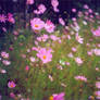 Just pink flowers