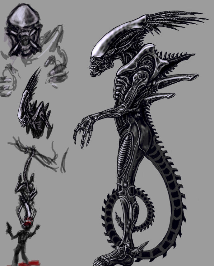 Alien - predator by Typhoon89 on DeviantArt