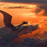 Dragon's Tale. Sunrise