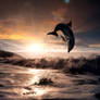 Beautiful sunset and dolphin leaping out