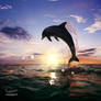 Beautiful-sunset-dolphin-jumping-130814