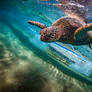 Under Wave