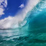 The Ocean