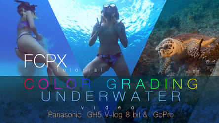 How I grade underwater videos