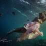 Underwater Dance. Red sea