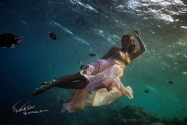 Underwater Dance. Red sea