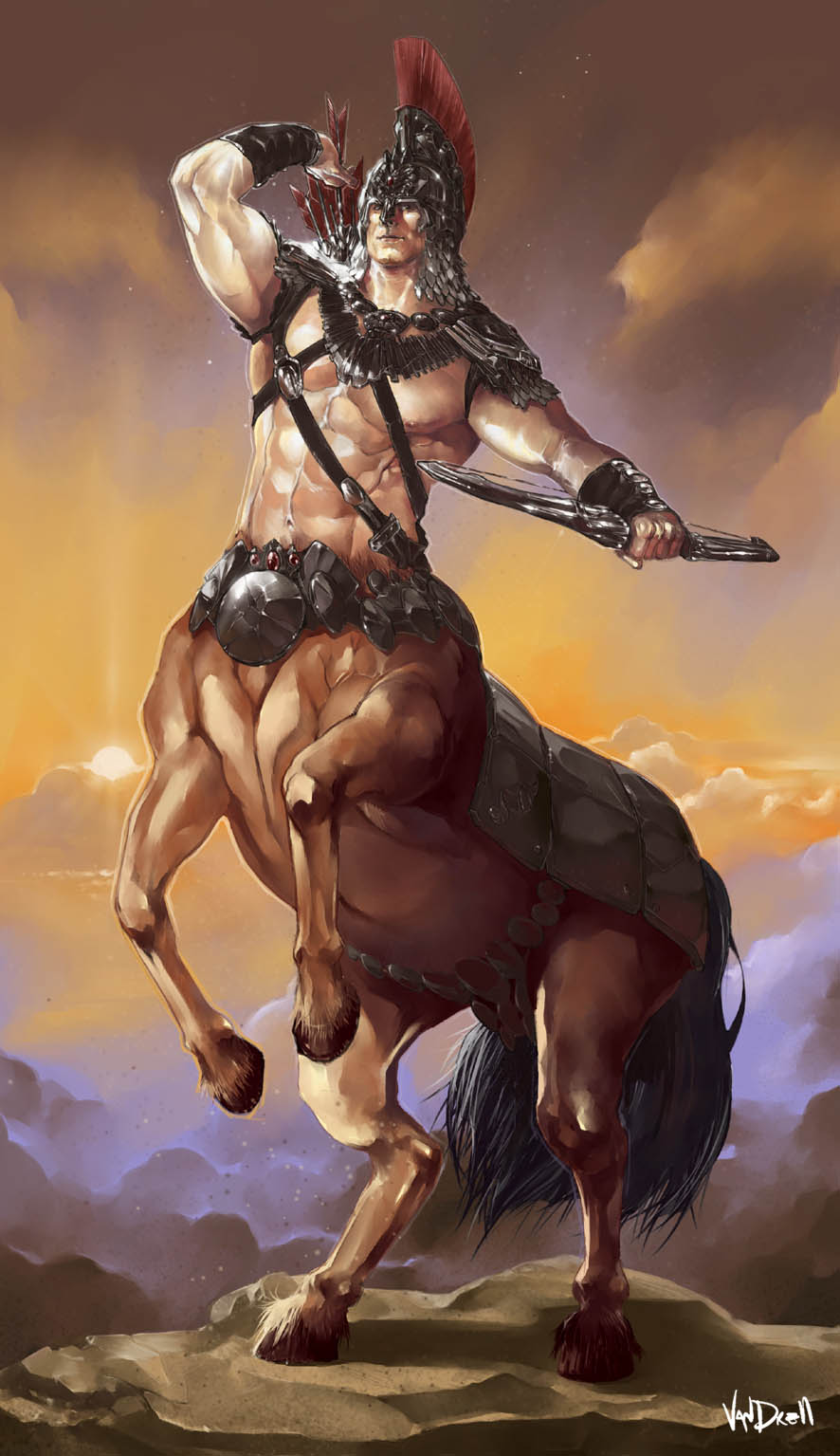 IMAGO CARDS - Centaur Knight