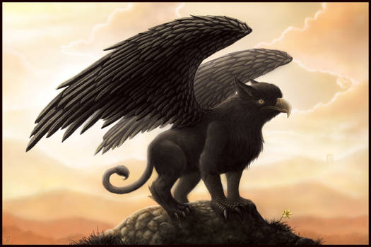 The Black Griffin