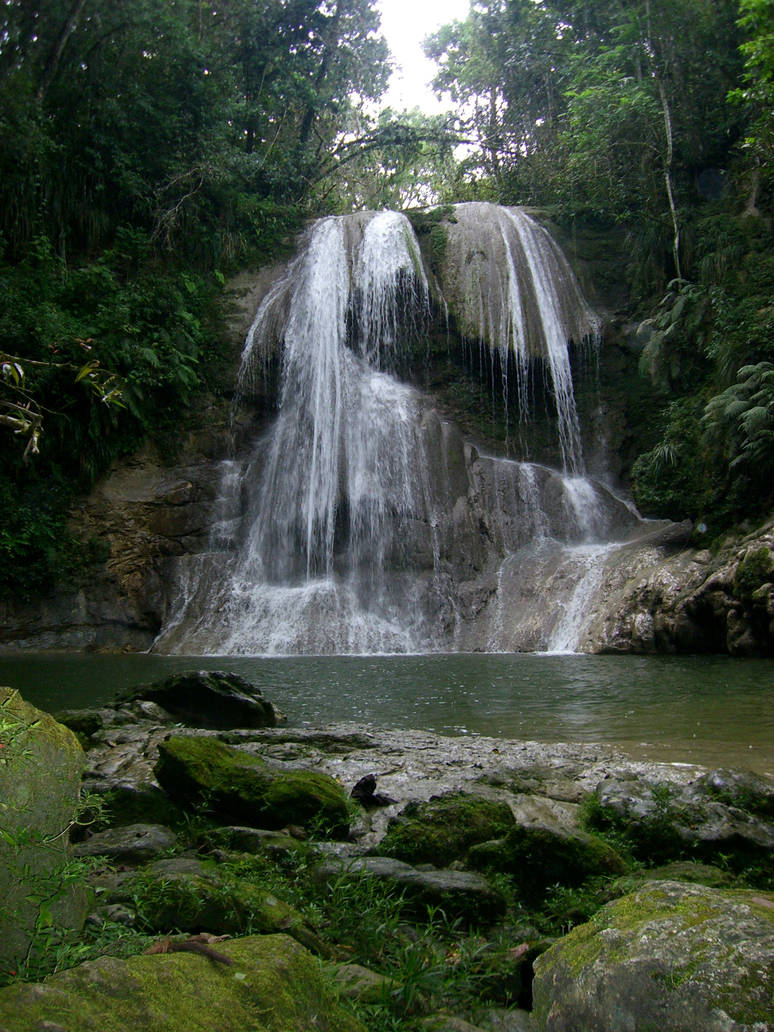 The Waterfall