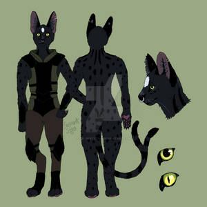 Tabaxi Ref sheets