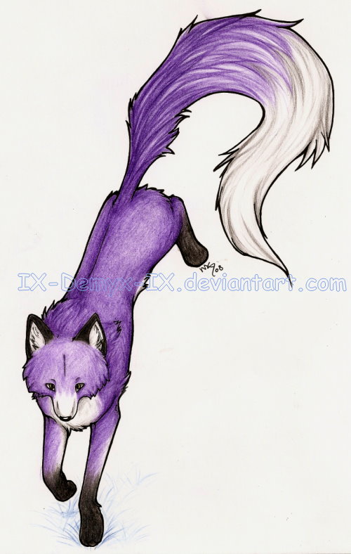 Teh Purple Fox