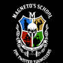 Prof. Magneto's School